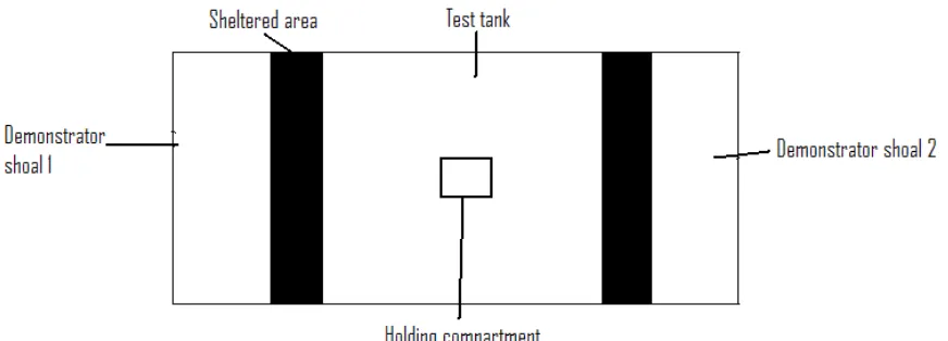Figure 1: An aerial view of the experimental setup (not to scale).