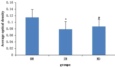 Figure 3. Immunohistochemical staining of C5b-9 of muscle tissues. NM: necrotizing myopathy group (n = 13), IM: inflammatory myopathies group, excluding necrotizing myopathy (n = 6), MD: muscular dystro-phy group (n = 5)