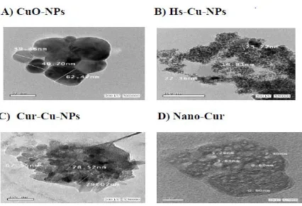 Figure 1: HR-TEM image of the prepared NPs shows that: A) CuO-NPs with average size 39.46 - 62.47 nm