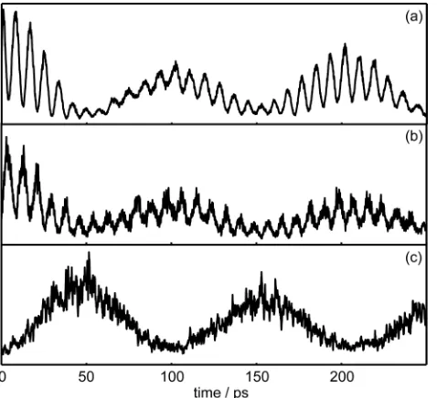 Fig. 3: Time-dependent photoelectron intensity corresponding to: (a) the 31 ion peak, (b) the