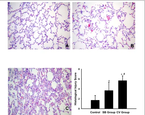 Figure 9 Representative photomicrographs of the right lower lobe and the lung injury score from nonventilated (control) andexperimental groups