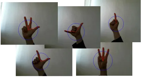 Fig. 8. Some of the gestures recognised by the system 