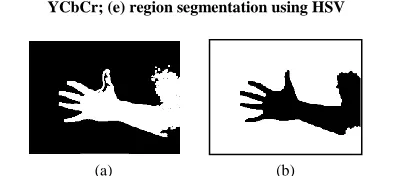 Fig. 11. Gesture pixels detection and region segmentation using a  hybrid histogram backprojection and a skin model approach:  (a) skin pixels; (b) region segmentation 