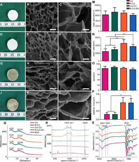 Figure 2. Characterizations of N-Col-GO hybrid membrane. Macroscopic view (A, D, G, J) and SEM images (B-C, E-F, H-I, K-L) of the Col, N-Col, Col-GO, and N-Col-GO hybrid membranes