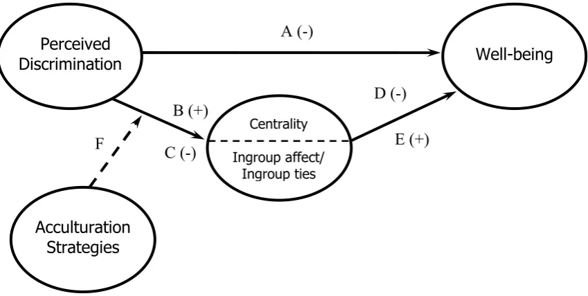 Figure 3. The rejection-identification-acculturation model. 