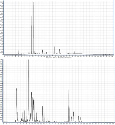 Figure 1: HPLC-(-) ESI-MS -TIC and HPLC-DAD chromatogram of methanolic extract of B. raddeana