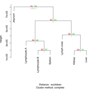 Figure 1 Hierarchical clustering of gene expression profiles in seven tissues. The R command “hclust”was used for the hierarchical clustering analysis