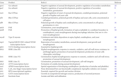 TABLE 1 Genes required for the growth and morphogenesis of P. marneffei