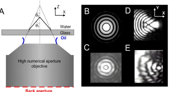 Figure 2.1. Focusing through a high N.A objective. A – illustrates the axial (spherical)aberrations and  B-E shows Airy disk (an aligned beam onto back aperture of objective) and comatic aberration  (misalignment onto the back aperture of the objective)