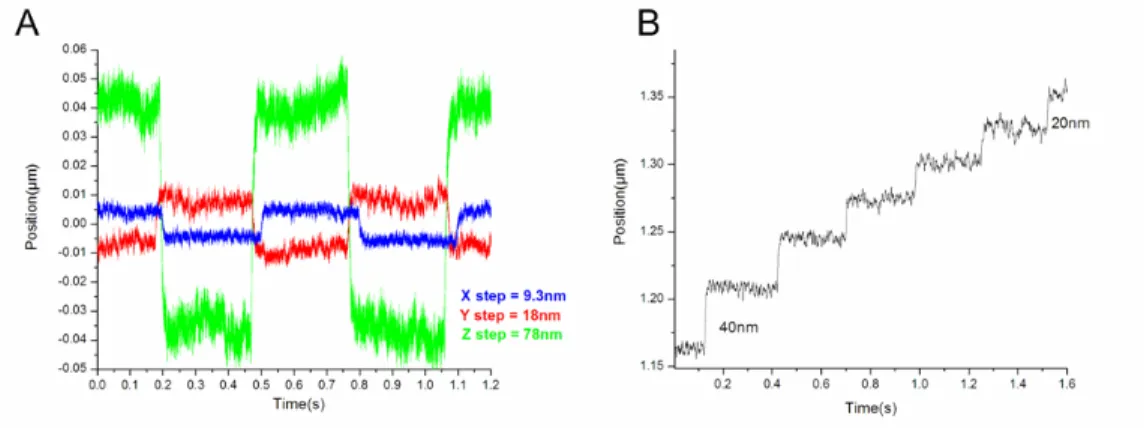 Figure 3.8 Measured stuck 3 µm particle displacement when moved by nanopositioning stage (A) The  scanning process goes forward and backward like a square wave function (5Hz)