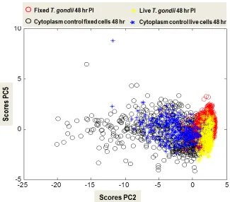 Fig. 6. PCA analysis of the Raman spectra for live T. gondii tachyzoites inside ARPE-19 cells after 48 hr PI