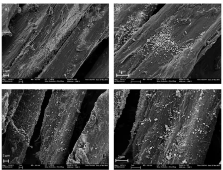 Figure 3.  FESEM micrographs of polyester-4G + TiO2 prior (a, b) and after performing the photocatalytic tests (c, d)
