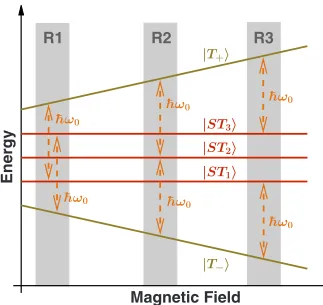 FIG. 2. �quency of the driving ﬁeld.�energy diagram for the undriven system.STColor online� Schematic illustration of the two-electron �0 is the oscillating fre- �T+� and �T+� are blocked triplet states,i�,i=1,2,3 are states with a singlet component
