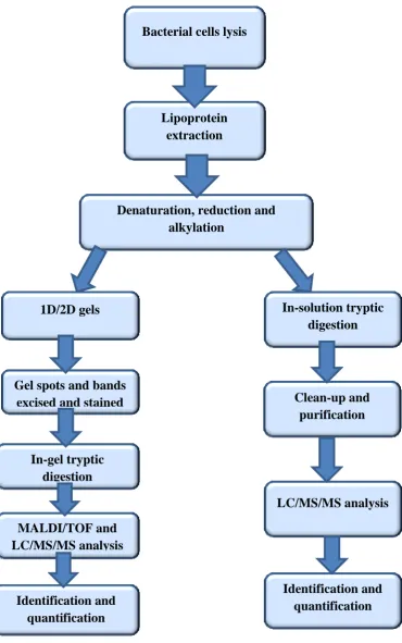 Figure 7. Workflows of in-gel and in-solution protein digestion procedures   
