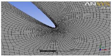 Fig. 5 Sample Mesh around the Valve Disc. 