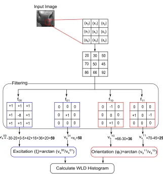 Figure 1: Illustration of the computation of the WLD algorithm.