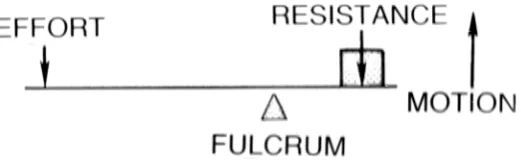 Figure 2: Schematic diagram of a Class 1 Lever highlighting the resultant opposite direction 