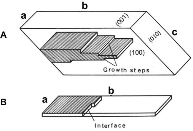 Figure 8.  A. Schematic illustration of phase transition in a layered crystal. It proceeds by growth of the wedge-like crystals of the alternative phase within the initial single crystal