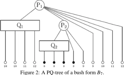 Figure 1: The twelve permutations allowed for the given PQ-tree.