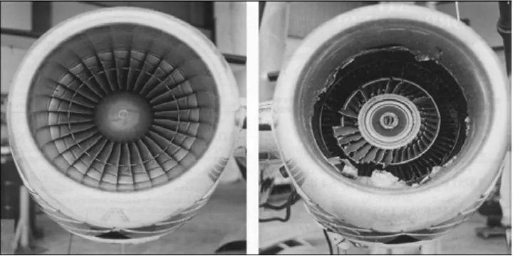 Fig. 2. Jet Engine Blade Damaged by Bird Strike