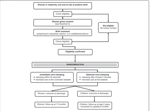 Figure 1 Participant flow. This figure shows the participants’ pathway through the trial.