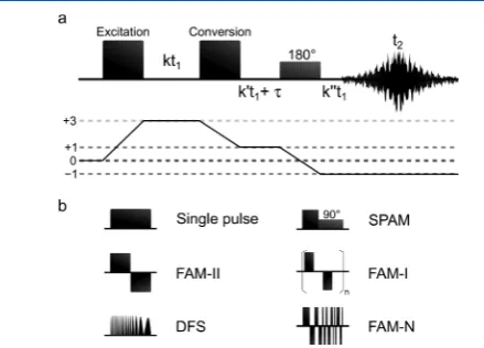 Figure 1. Pulse sequence and coherence transfer pathway diagram for