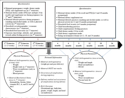 Fig. 1 Assessment timeline of the MINA cohort study