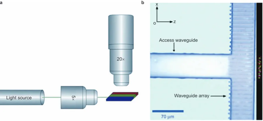 Figure 3 (a) Optical setup for measuring the color separation in a waveguide array. (b) Microscopic image of the sample structure