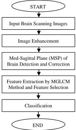 Figure 1: Flow chart of the proposed algorithm. 