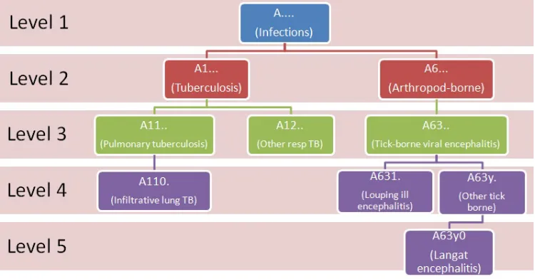 Fig. 1: Example of a branch in the Read Codes tree.