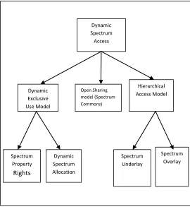 Figure IV: Taxonomy of Dynamic Spectrum Access Models 