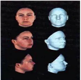 Fig. 6 Example 3D face models In MPIBC database 
