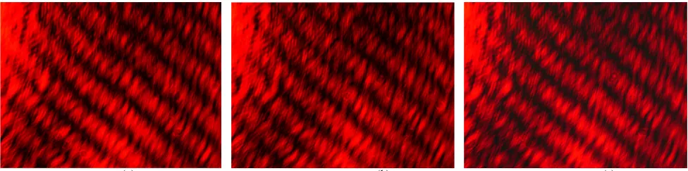 Figure 4.  Lissajous figure of two sine waves of equal frequency: - (i)phase shift of zero degrees,(ii) phase shift of 90 degrees, and(iii) phase shift of 180 degrees 