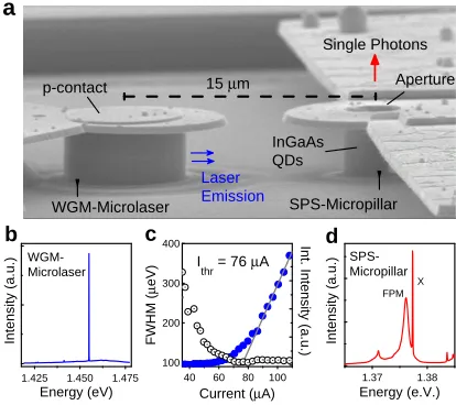 Figure 1: Sample layout and optical characterization of device A at 30 K. (a) An SEMimage of a 6 µm-diameter whispering-gallery-mode (WGM) quantum dot (QD) microlasermonolithically integrated next to a 2 µm-diameter single-photon-source (SPS) micropillar.T