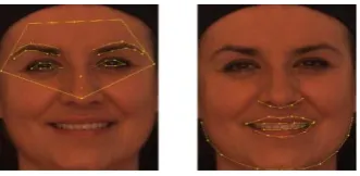 Fig.5 Crop Face 