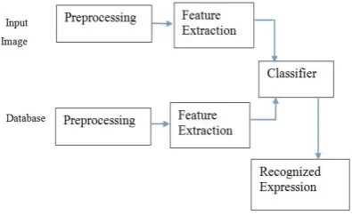 Fig.8 (a) Flowchart For  Face Extraction Module 