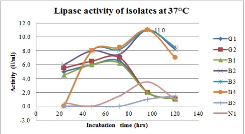 Figure 10.  Effect of incubation period on lipase production at 50oC in broth culturing of preliminary lipase producing isolates 
