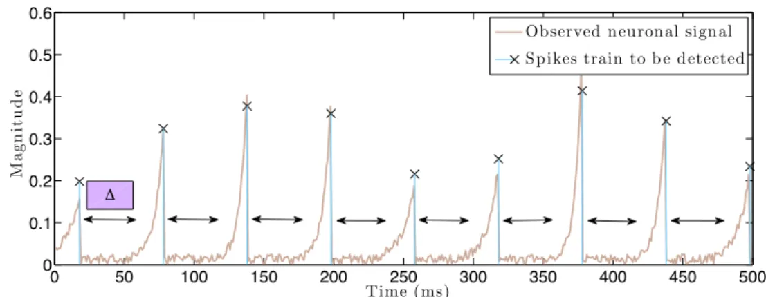 Figure 1.8: Neuronal spike train example