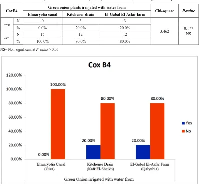 Table 7.  Comparison between locations regarding Coxsackievirus B4 present on green onion plants 