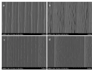 Figure 3.15 – SEM images of chirped grating samples all fabricated on the same sample using thea high superperiod of 10same write settings