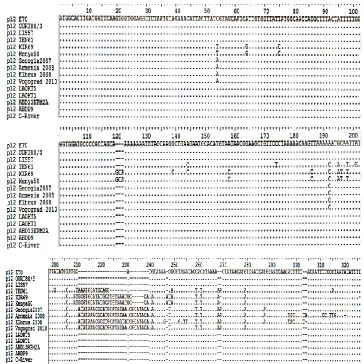 Figure 2.  Multiple sequence alignment of p22 gene sequences of ASFV isolates where: (points) denotes identical nucleotide, - (dash) indicates deletions of nucleotide 