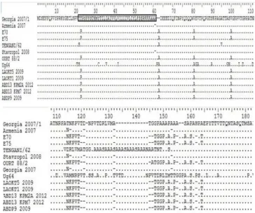 Figure 4.  Deduced amino acid sequence of p54 gene nucleotide sequence in different ASF virus isolates
