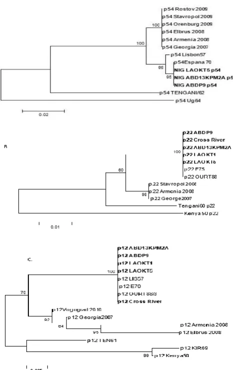 Figure 7.  Phylogenetic relationship of E183L (p54) genes (A), KP177R (p22) gene (B) and O61R (p12) gene (C) sequences of some representatives 