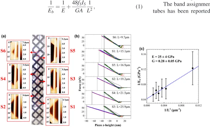 FIG. 2. Typical example of using thebending beam model to measure theYoung’s and shear moduli of FF tubes.(a) Composite micrograph showing thelength of a single isolated tube on acopper grid, with accompanying AFMimages for six suspended sections ofdifferi