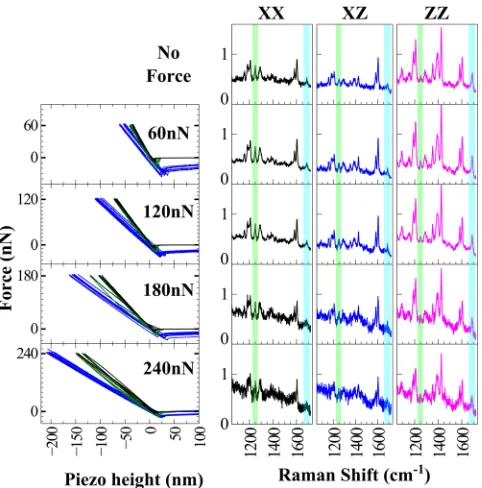 FIG. 4. Schematic description of the inter-molecular interactions in porousFF tubes. (a) The network of H bonds provides a strong contribution to theelastic modulus in the longitudinal direction (Z axis)