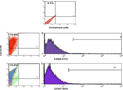 Figure 2.  Infectivity of hepatitis C virus pseudoparticles (HCVpp) produced by HEK293T cells
