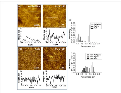 Table 1: Statistical analysis of the roughness measurements fordifferent substrates and corresponding Cu surfaces after lift-off