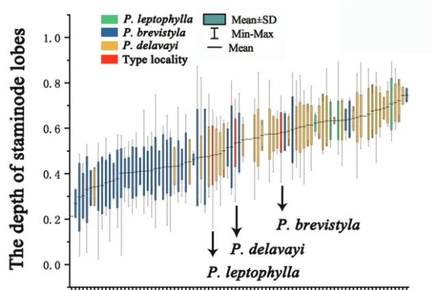 Figure 6. The standard deviation analysis of the depth of staminode lobes.