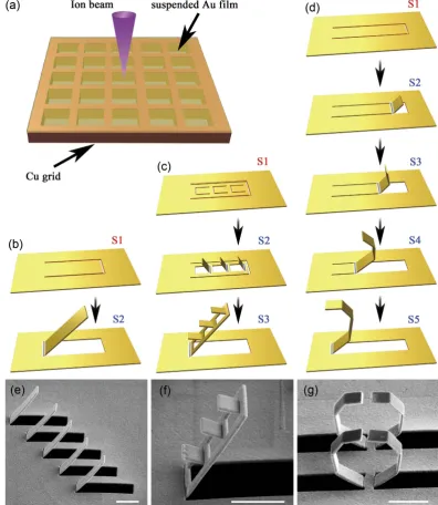 Figure 1. Fabrication of spatially orientated 3D structures by focused-ion-beam folding: (a) A suspend Au film on Cu grid