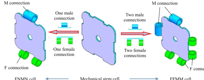 Figure 1.  Bio-inspired mechanical cell.